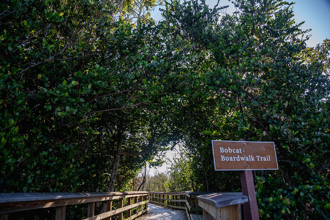 Beyond the Beach Bag: SPF That Actually Works in Miami
